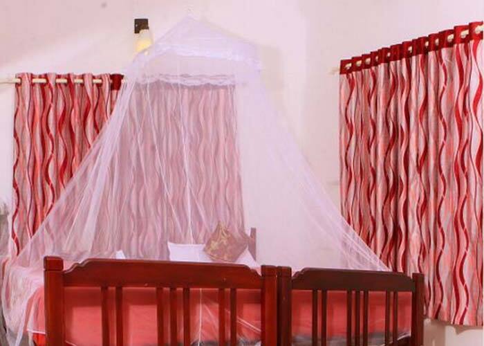 Golden Shower Homestay, Kochi 5